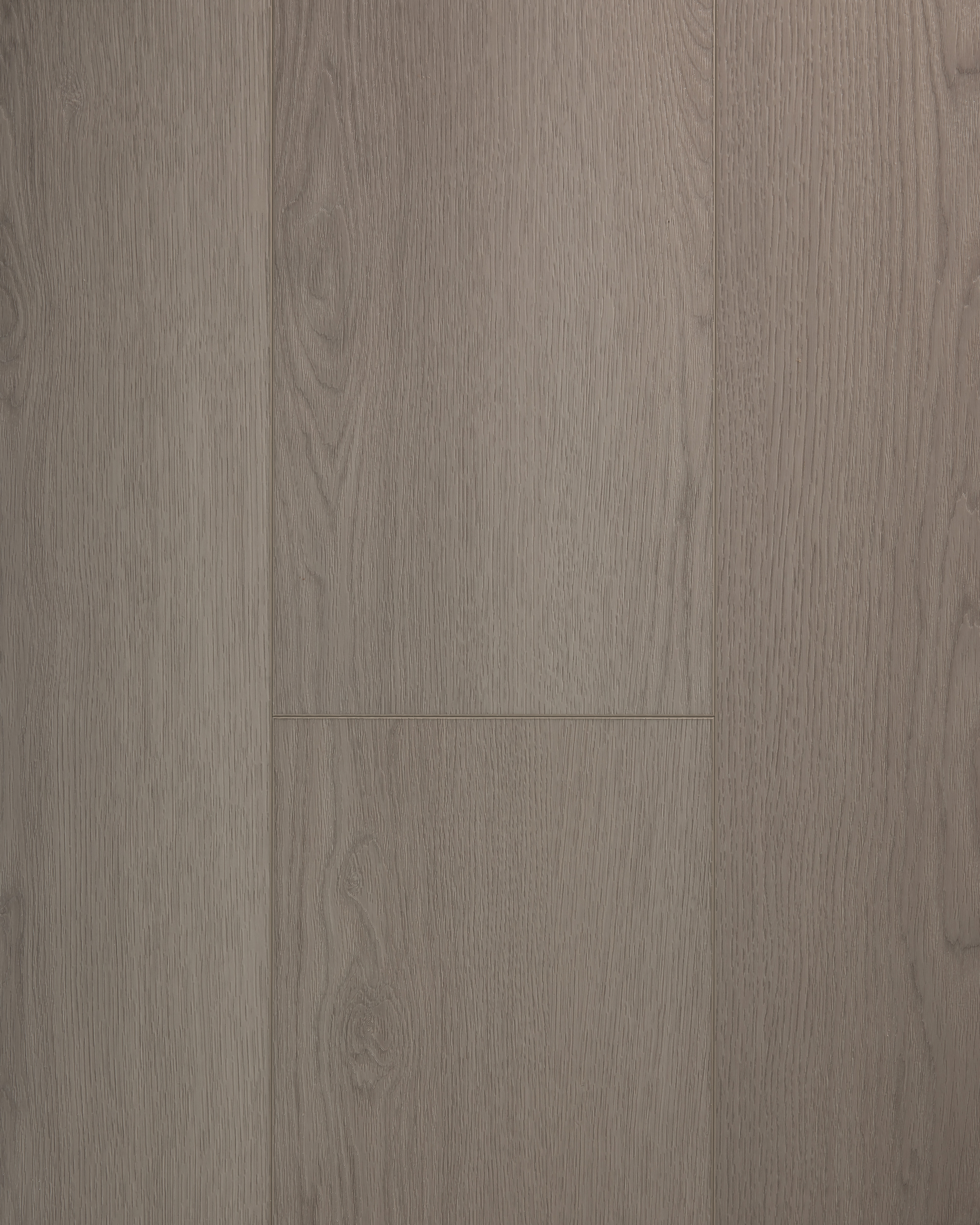 BAUSEN｜Innova 莫林